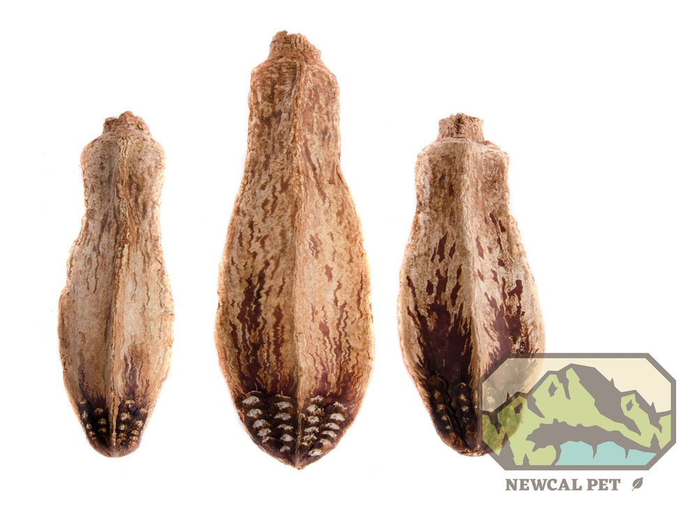 NewCal Mahogany Pods, 5 Pack