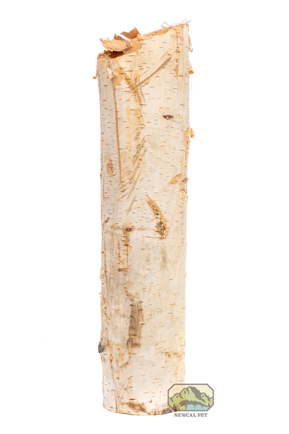 NewCal Birch Tree Pole \ Branches