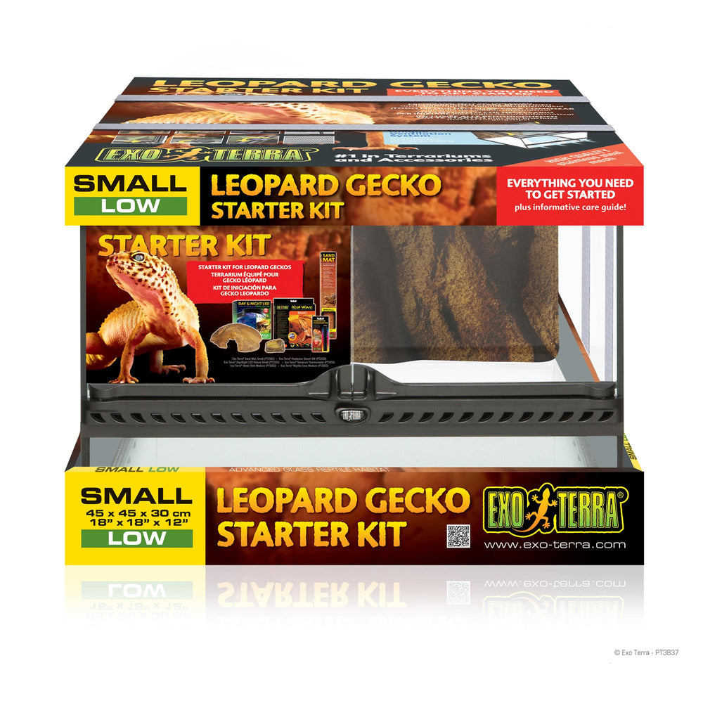 Exo terra crested gecko starter kit hotsell