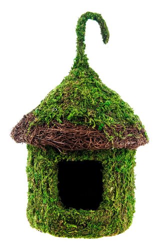 Galapagos Rimmed Bungalow Mossy Hide \ Bird House 6