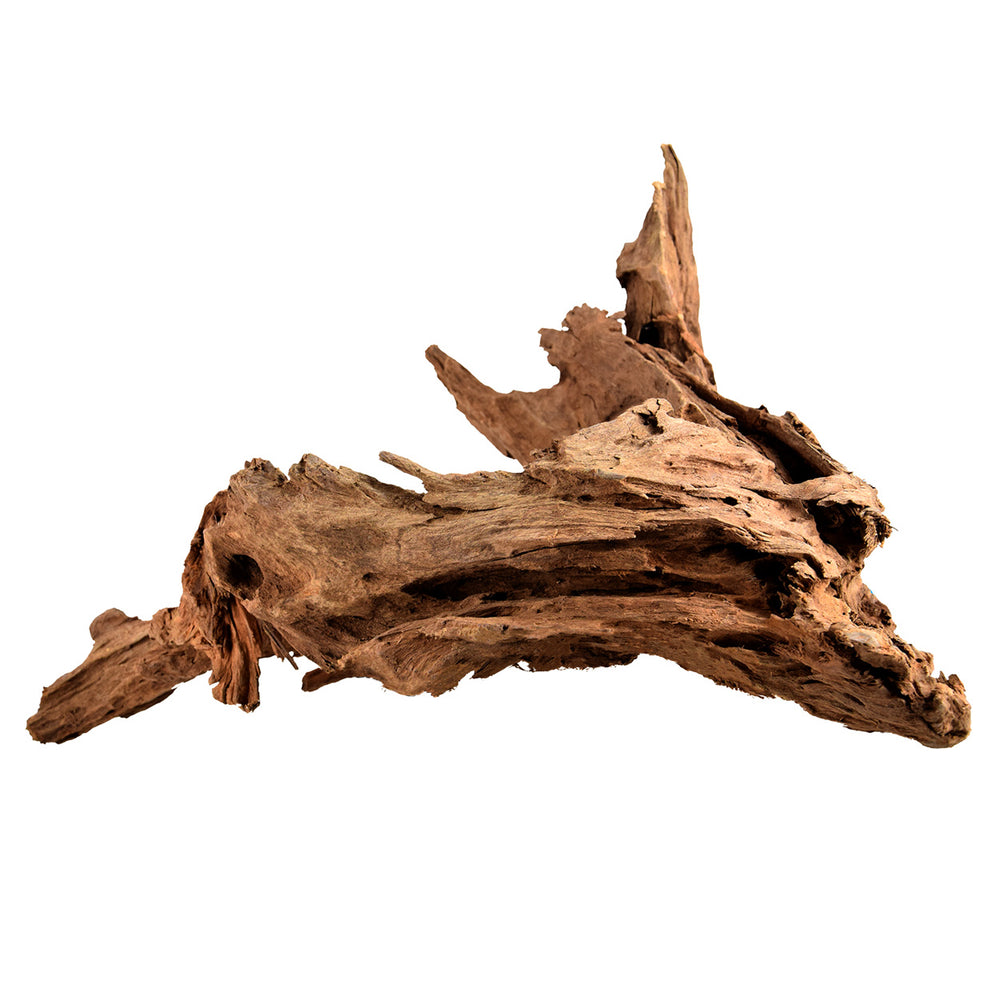 NewCal Malaysian Driftwood