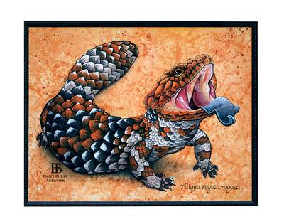 Shingleback Skink Print by Emily Burke Artwork