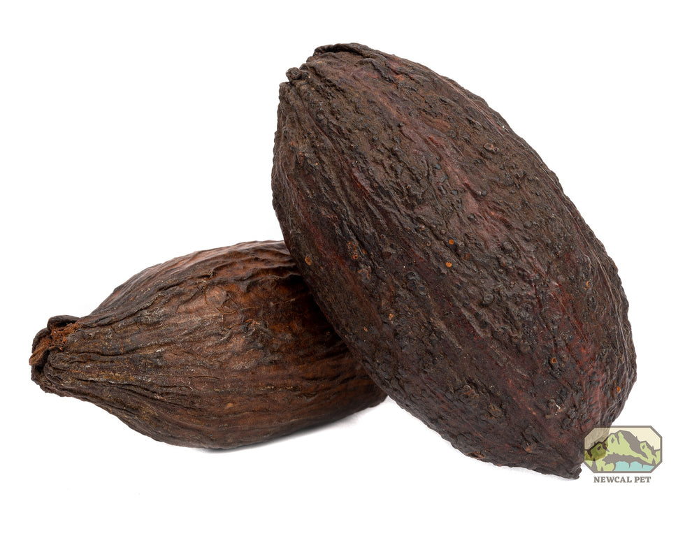 NewCal Cocoa Pod 5-7