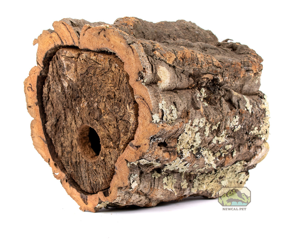 NewCal Cork Round Birdhouse