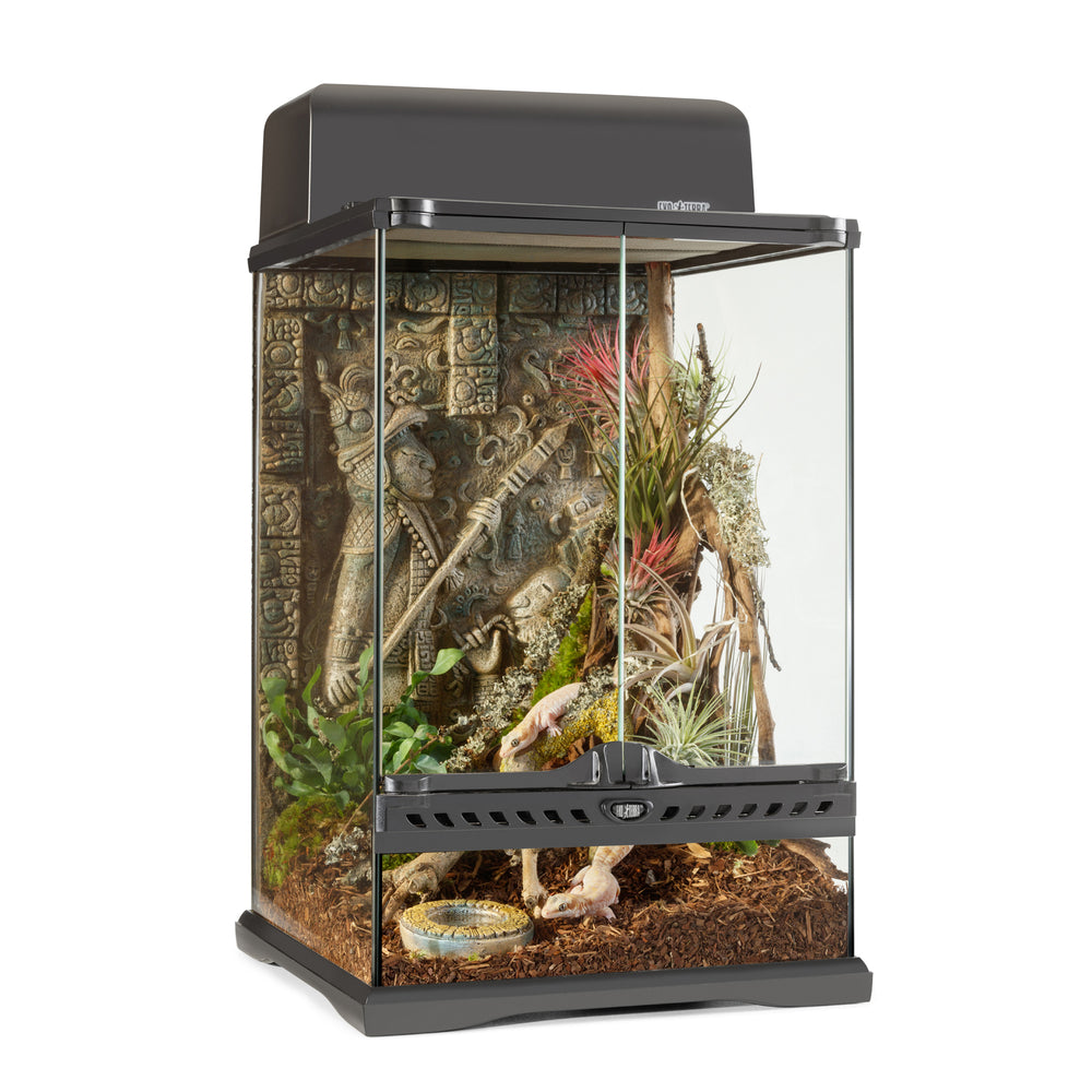 Exo Terra Aztec Terrarium, 12x12x18