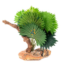 Load image into Gallery viewer, Pet-Tekk Mini Fan Palm with Climbing Branch
