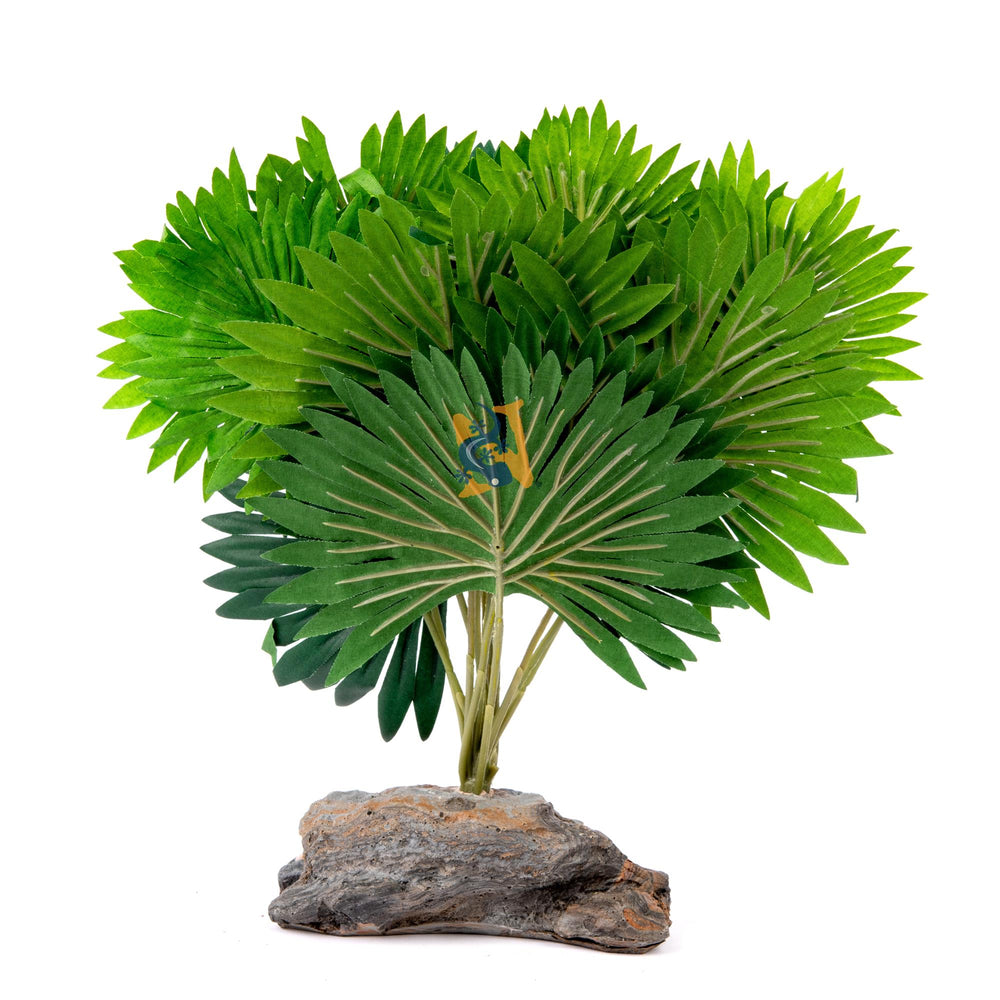 Pet-Tekk Mini Fan Palm