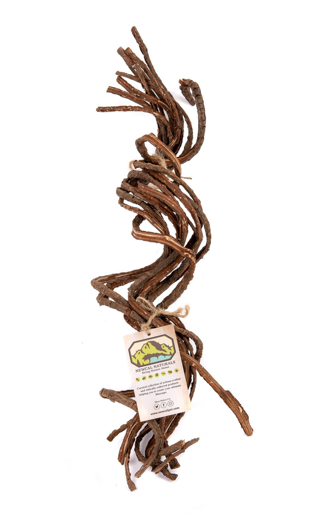 NewCal Curly Vine, 20