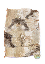 Load image into Gallery viewer, NewCal Birch Bark Sheet
