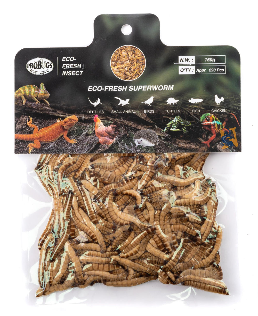 ProBugs Eco-Fresh Bulk Superworms, 150g