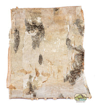 Load image into Gallery viewer, NewCal Birch Bark Sheet
