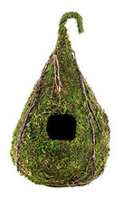 Load image into Gallery viewer, Galapagos Vined Raindrop Mossy Reptile Hide \ Bird House 6&quot; x 10&quot;
