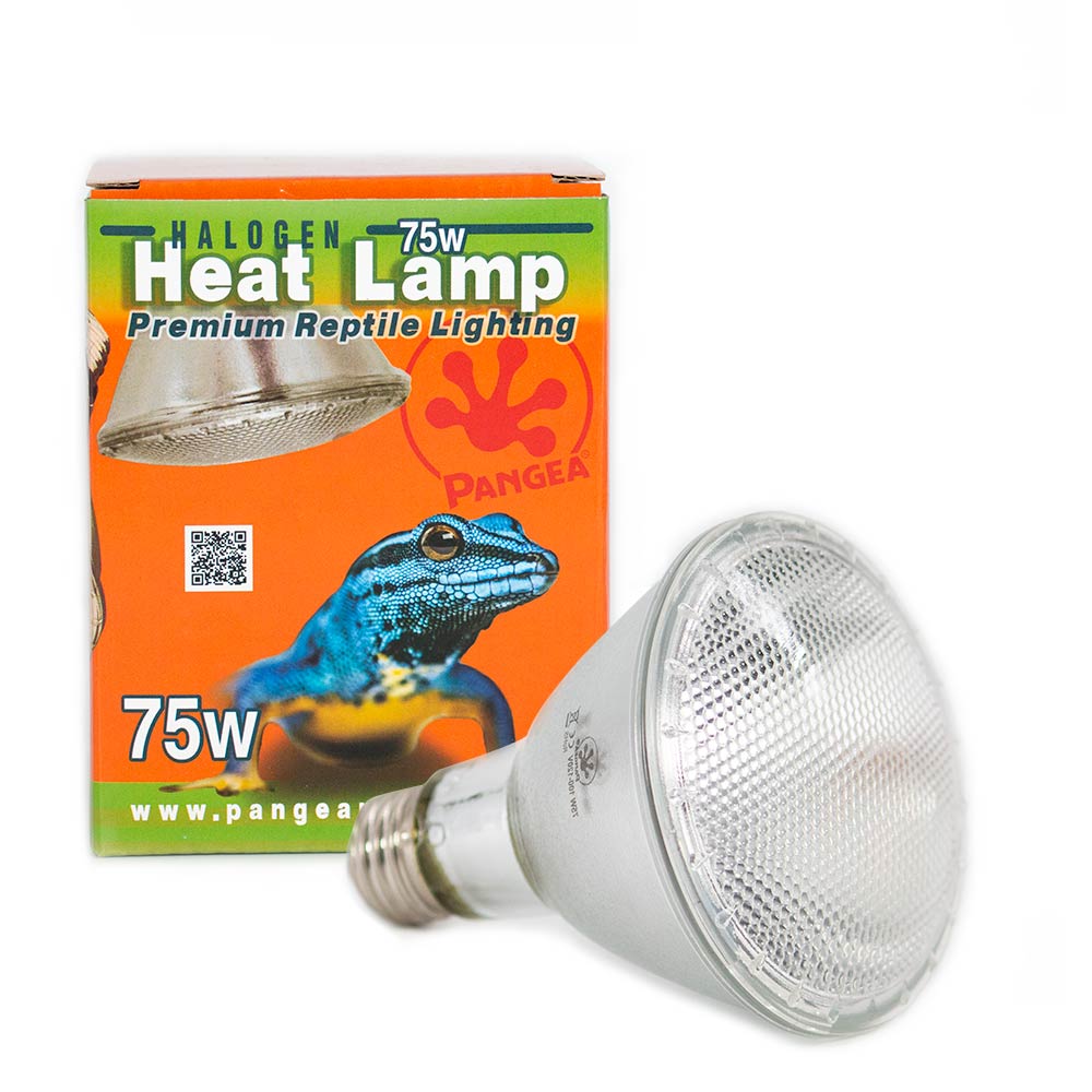 Pangea Halogen Heat Lamp