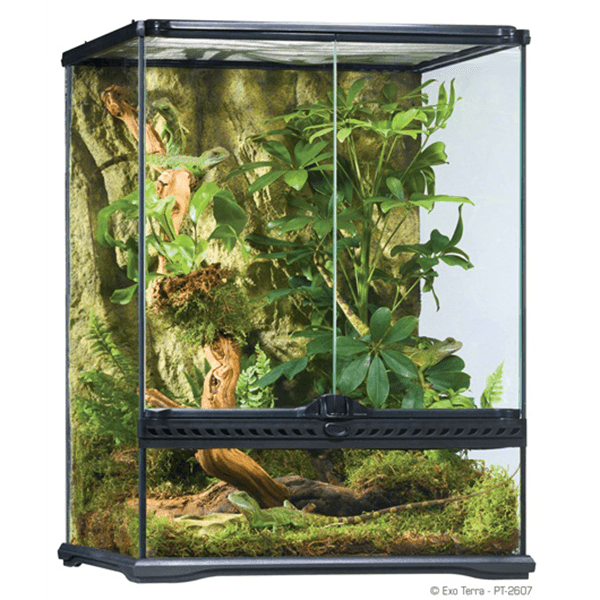 Exo Terra Small Tall Terrarium 18