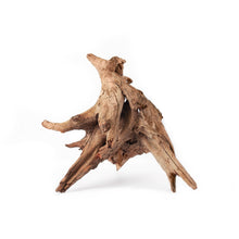 Load image into Gallery viewer, Galapagos Hollow Tree Root 12-16&quot;
