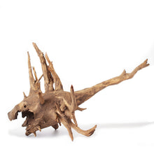 Load image into Gallery viewer, Galapagos Hollow Tree Root 12-16&quot;
