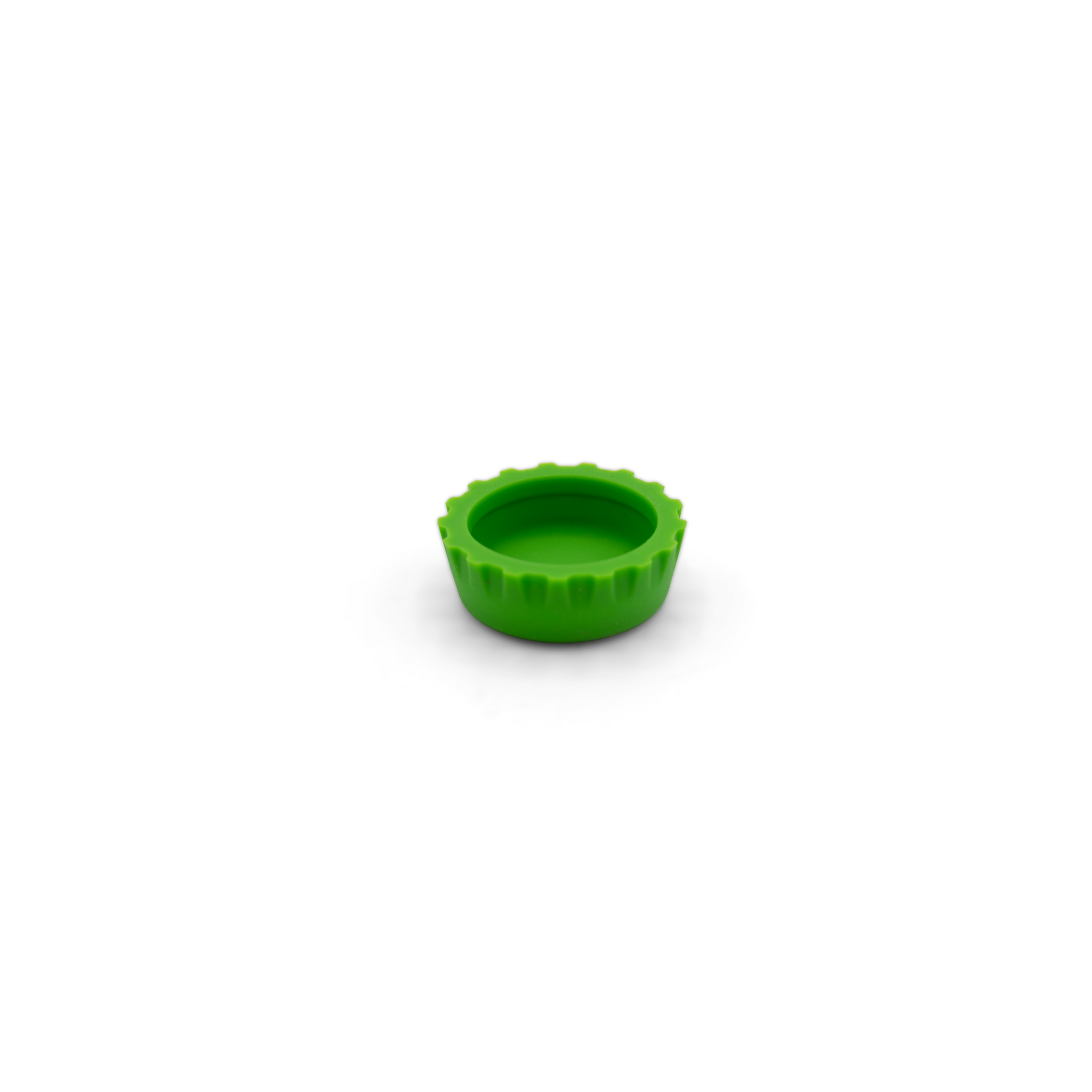 Gecko feeding dish hotsell