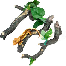 Load image into Gallery viewer, ReptiZoo 3-Piece Reptile Climbing Branch
