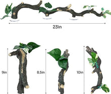 Load image into Gallery viewer, ReptiZoo 3-Piece Reptile Climbing Branch
