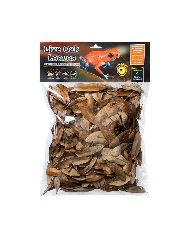 Galapagos Natural Live Oak Leaf Litter 4 Quarts