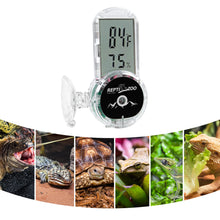 Load image into Gallery viewer, ReptiZoo 4-Sides Mounting Digital Thermo-Hygrometer
