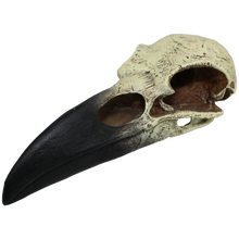 Load image into Gallery viewer, Komodo Raven Skull
