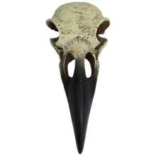 Load image into Gallery viewer, Komodo Raven Skull
