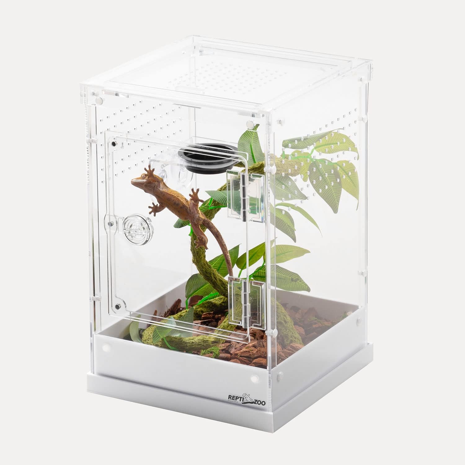 ReptiZoo Acrylic Knock-Down Terrarium – Northern Gecko Inc