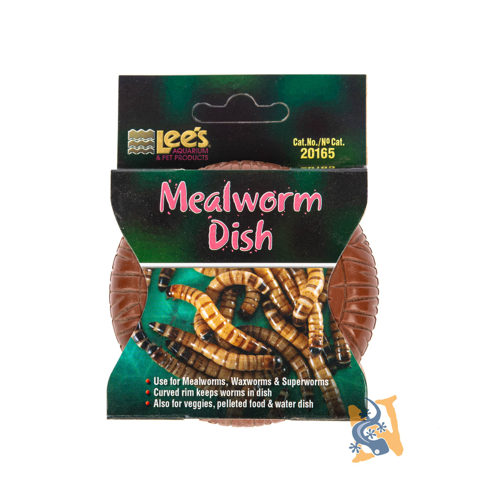 Lee's Mealworm Dish