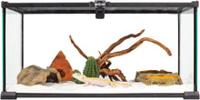 Load image into Gallery viewer, ReptiZoo Cactus Desert Decor 3.9&quot;
