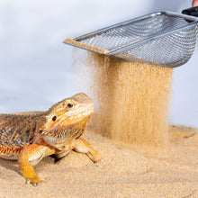 Load image into Gallery viewer, ReptiZoo Desert Sand Scooper
