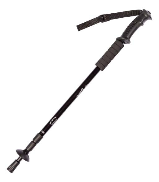 ReptiZoo 2-in 1 Snake Hook & Climbing Stick