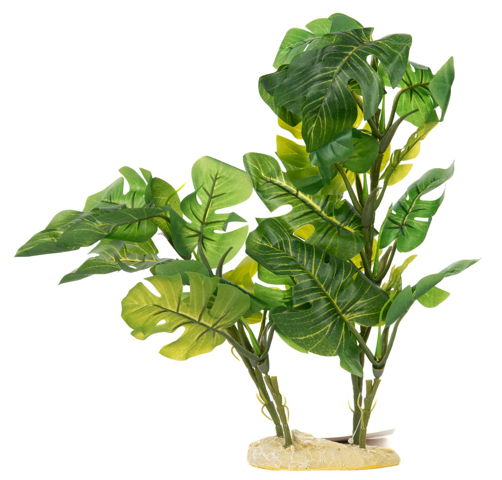 AquaGlobe Monstera Silk Plant