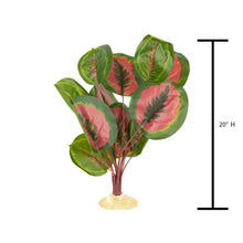 Load image into Gallery viewer, Aquaglobe Calathea Silk Plant
