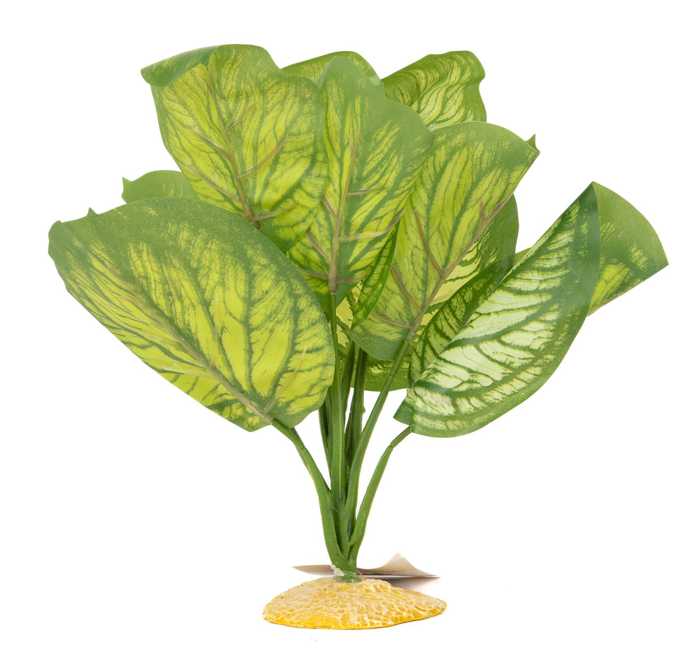 Aquaglobe Calathea Silk Plant