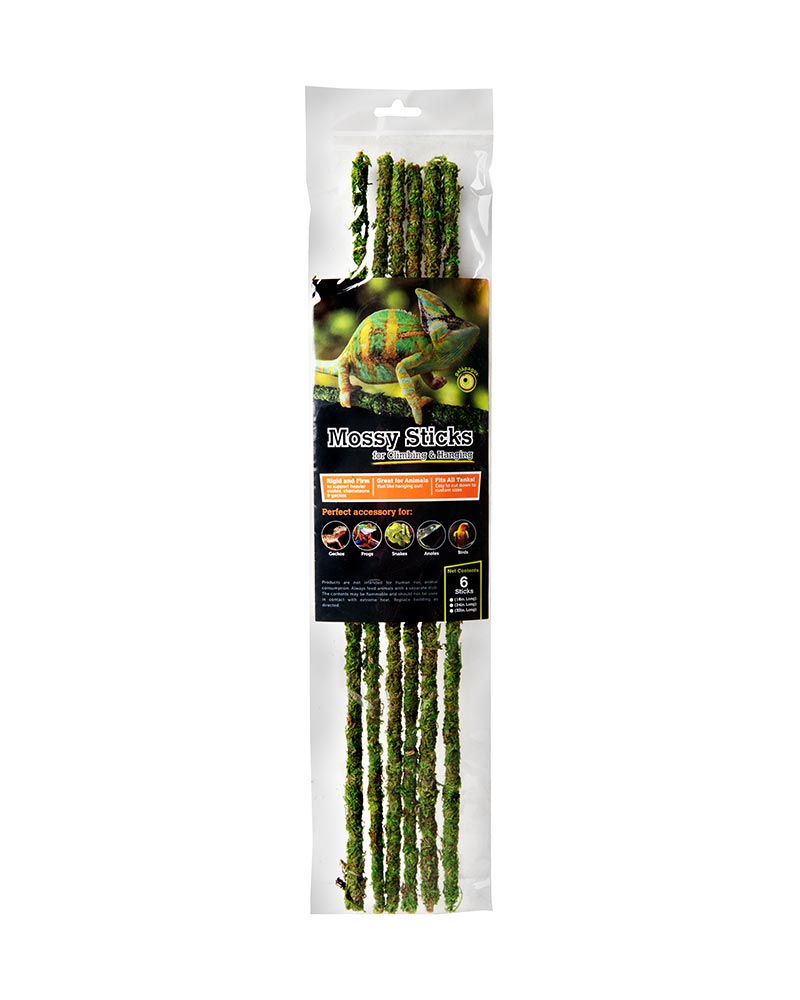 Galapagos Mossy Sticks