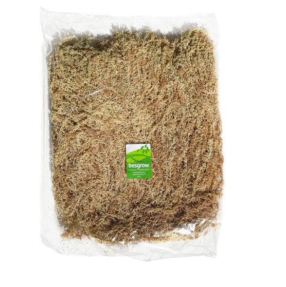 Besgrow SpagMoss  Premier Long Strand Sphagnum Moss 100g