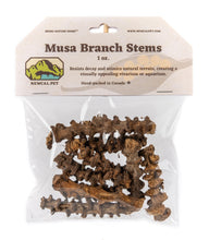 Load image into Gallery viewer, NewCal Musa Branch Stems, 1oz.
