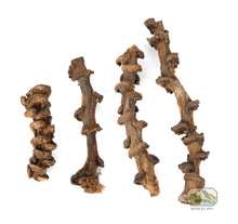 Load image into Gallery viewer, NewCal Musa Branch Stems, 1oz.
