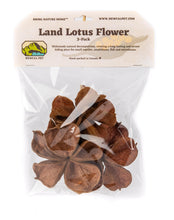 Load image into Gallery viewer, NewCal Land Lotus Flower, 3 Pack
