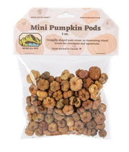 Load image into Gallery viewer, NewCal Mini Pumpkin Pods, 1 oz.
