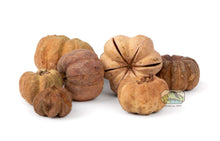 Load image into Gallery viewer, NewCal Mini Pumpkin Pods, 1 oz.
